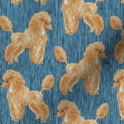 Custom Apricot Poodle with blue