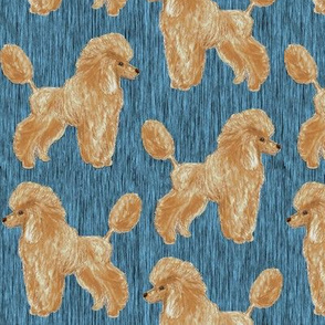 Custom Apricot Poodle with blue