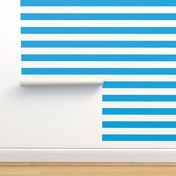 Horizontal Stripes Blue : 1 inch wide