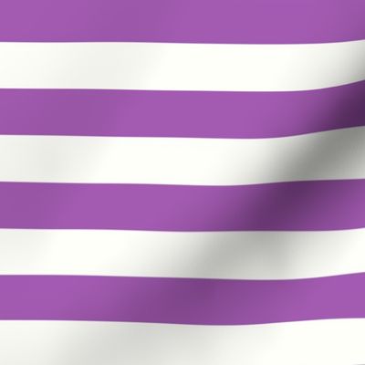 Horizontal Stripes Purple : 1 inch wide