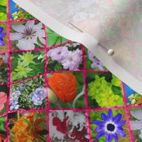 Pink Geometric Photographic Flowers