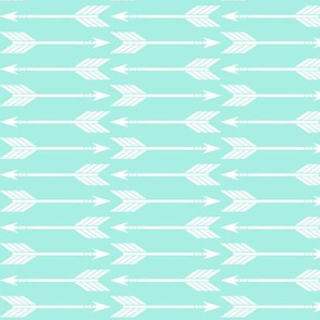 Arrows (misty teal) // glacier woods