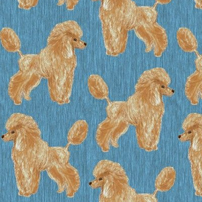 Custom Apricot Poodle with Blue 2
