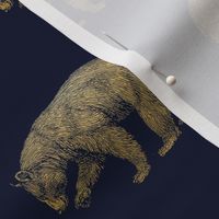 Gold Bears on Navy Gold Bear Grizzly Bear Brown Bear Black Bear