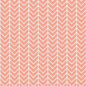 Coral Sprigs and Blooms Coordinate Chevron 2