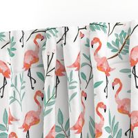 Coral Flamingos in Shade