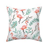 Coral Flamingos in Shade