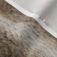 chinchilla faux fur animal fur hide