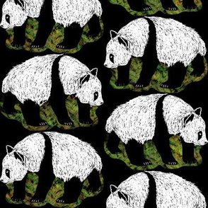 Scratchboard Pandas 2