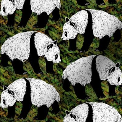 Scratchboard Pandas 3