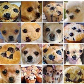 Chihuahua or Muffin?