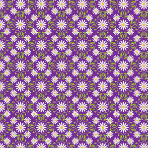 Daisy Square- purple-  large