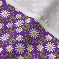 Daisy Square- purple-medium 