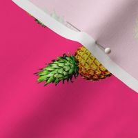 Pineapple Bright Pink - Large Print