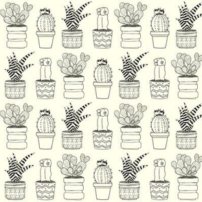 Four Cacti Outline Drawing