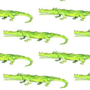 Crocodile Parade 