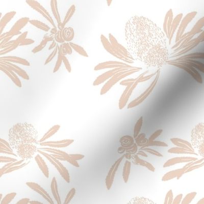 banksia floral - blush/white