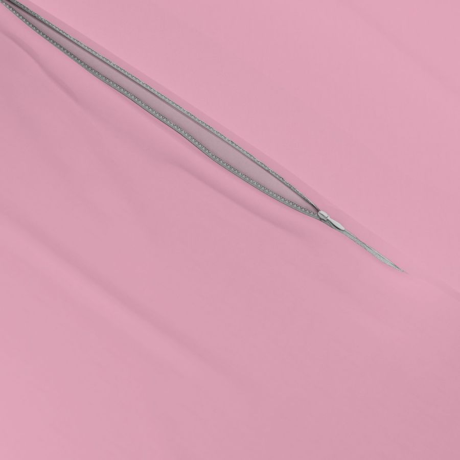 Light Pink F5B4C9