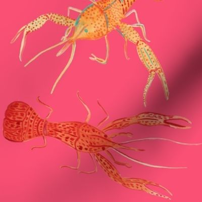 Crawfish - Pink