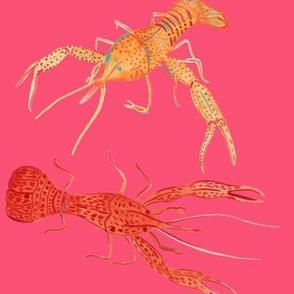 Crawfish - Pink