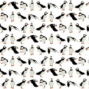 just puffins white small