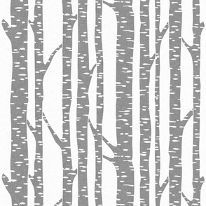 birch_enlarged_grey