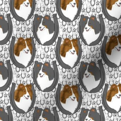 Small Shetland sheepdog horseshoe portraits