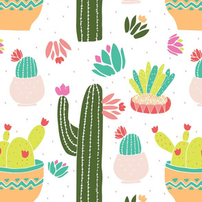 Cacti + Succulents