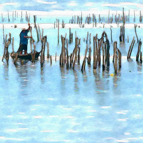 Oyster Harvest