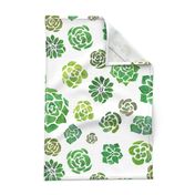 Mojave Succulent Fabric 