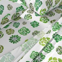 Mojave Succulent Fabric 