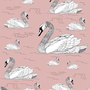 Swans Pink