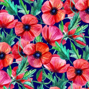 Plenty of Poppies - Watercolor on Navy