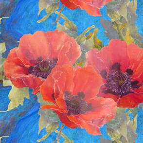 Poppies for Mom