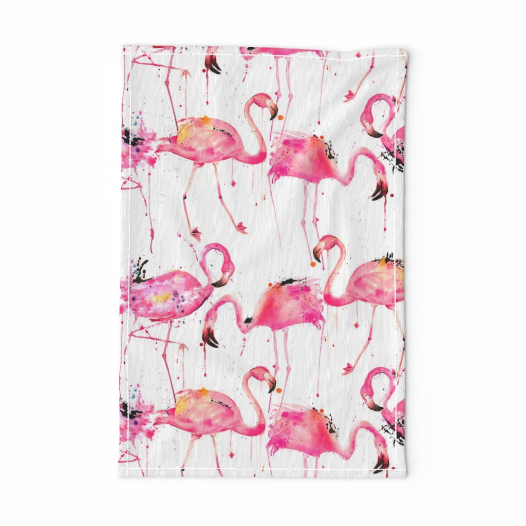 flamingos making a splash