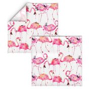 flamingos making a splash