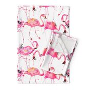 flamingos making a splash