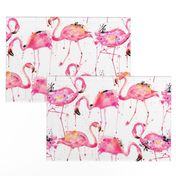 flamingos making a splash