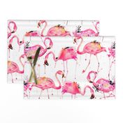 flamingos making a splash