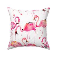 flamingos making a splash
