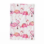 flamingos making a splash