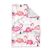 flamingos making a splash