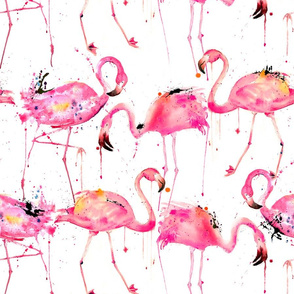flamingos making a splash