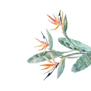 Bird of Paradise Watercolor Tea Towel