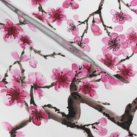 Sakura Branches