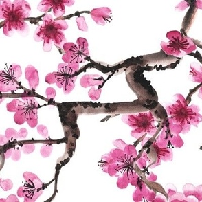 Sakura Branches