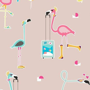 Flamingo have fun