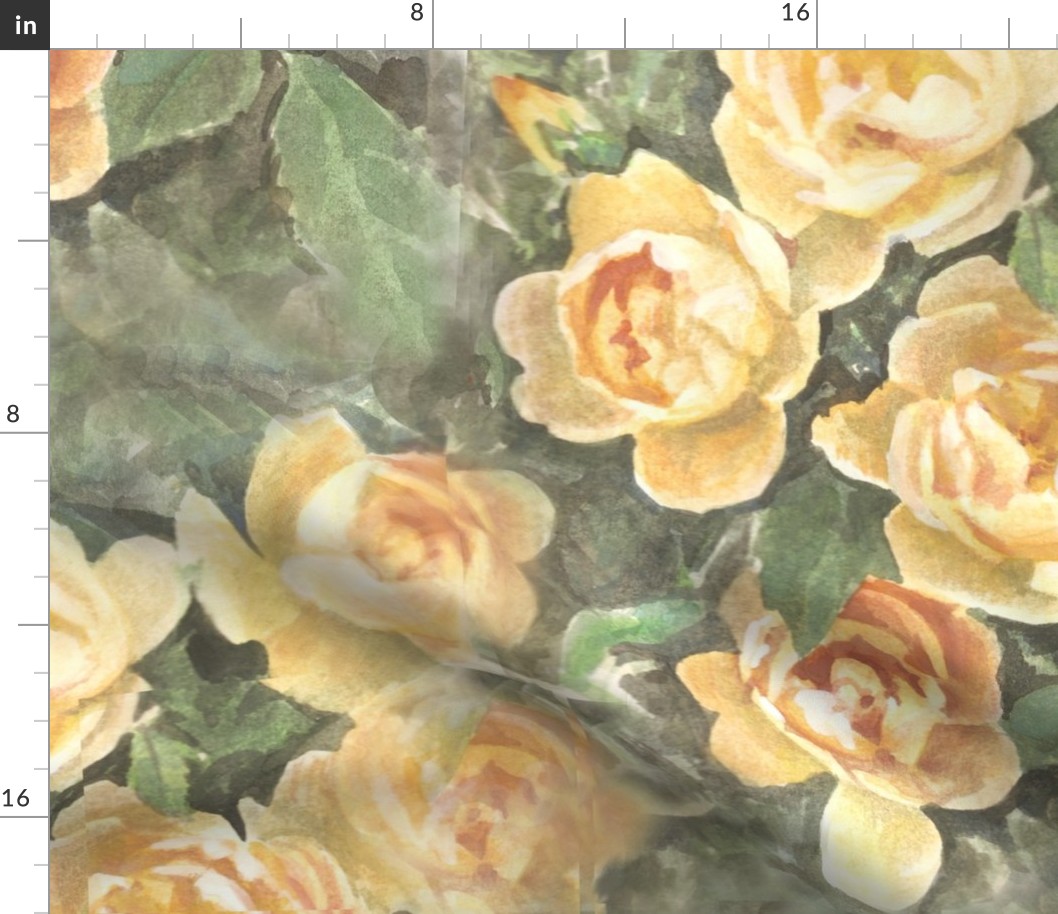 Watercolour Rose Garden /Wollerton Old Hall  rose/