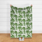 Tropical Palm Elephant leaf in greens Botanical Print