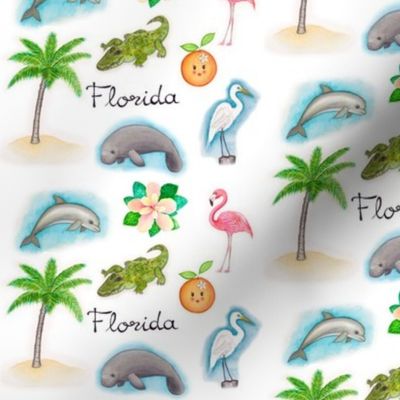 Florida Icons